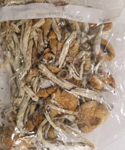Buy Cambodians Magic Mushrooms
